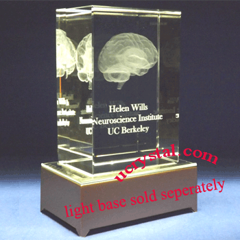 3D brain model crystal award